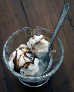 Vanilla Ice Cream with Chocolate Sauce