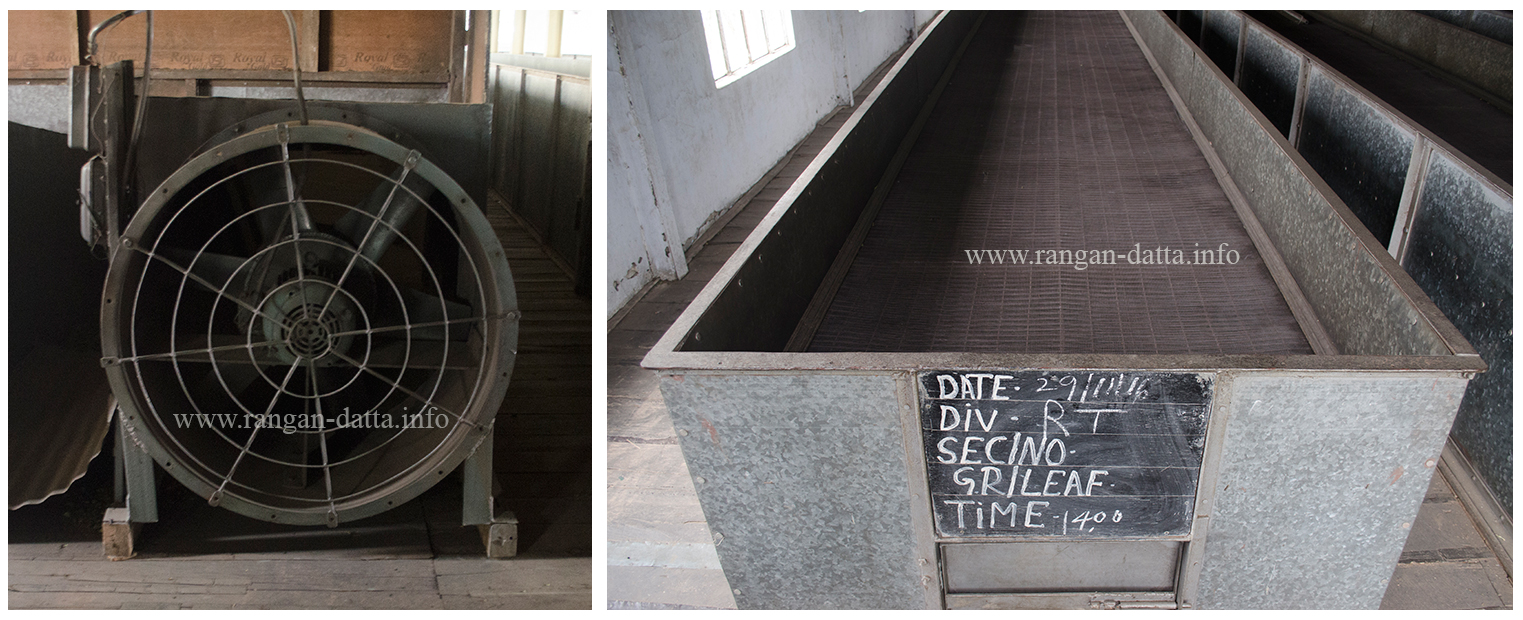 L: Fan for blowing air and R: Withering Tray, Margaret's Hope Tea Factory, Kurseong